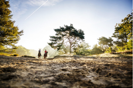 Vakantieboerderij Hoeve Heide en Wold met hottub direct aan ruiterroutes VMP010